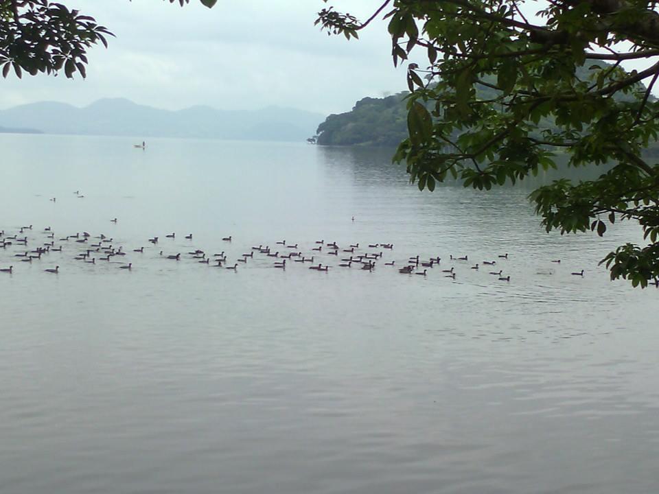 La Cabana Del Lago Hotel Catemaco Exterior photo